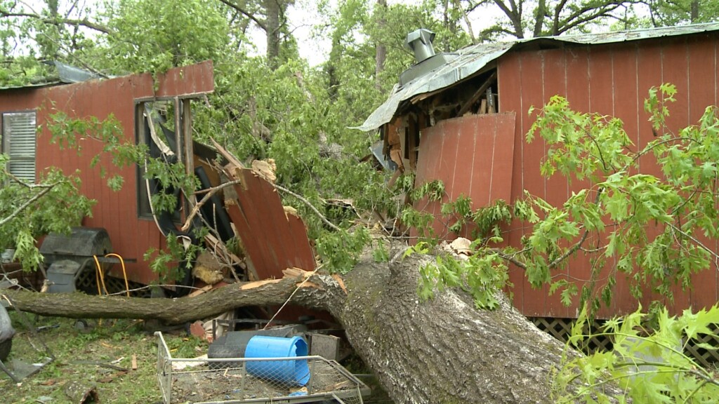 Wal Dctreefall0411 Fox Pkg2