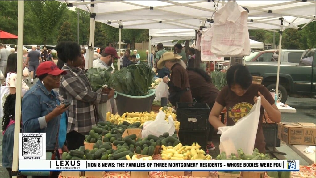 Farmer's Market Returns To The Shoppes At Eastchase