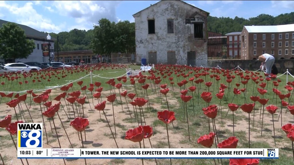 Poppy Project 052424