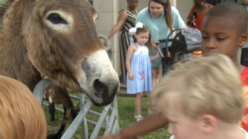 Selma-Dallas Co. Public Library kicks off summer program - WAKA 8