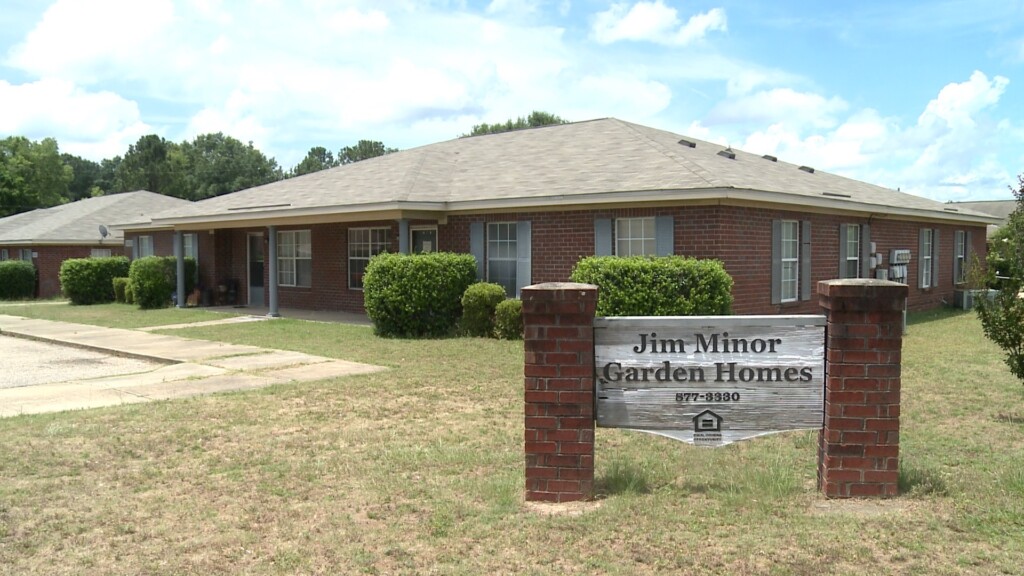 Wal Dcjimminor0617 Vo