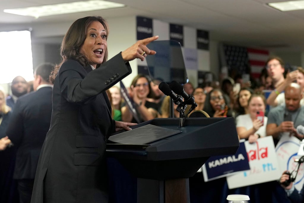 Election 2024 Democrats