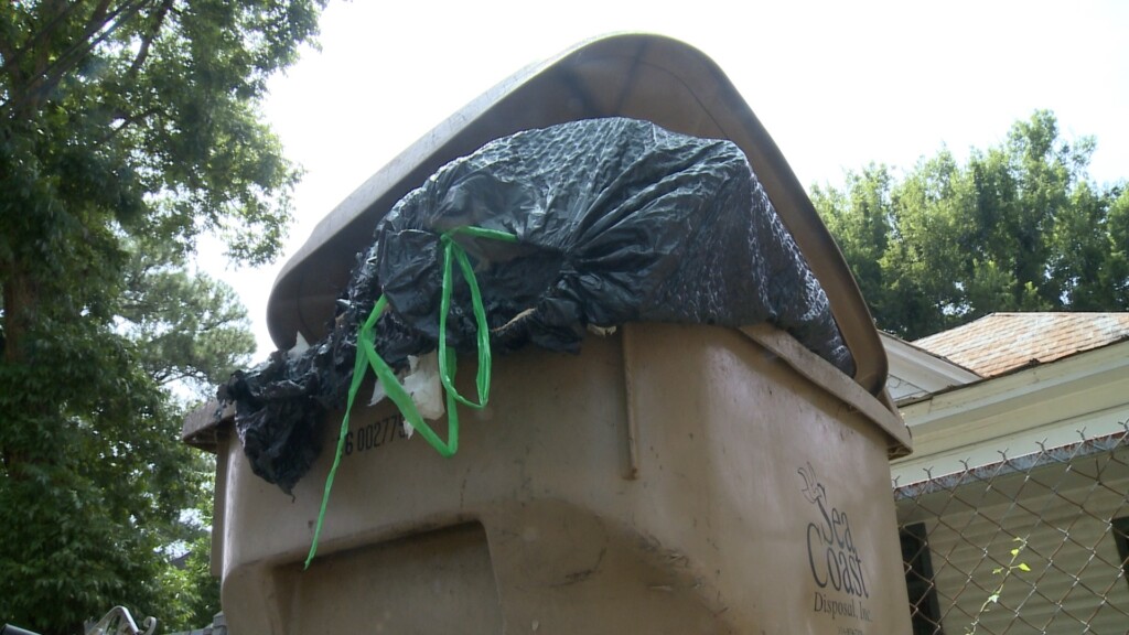 Waka Selmagarbage0730 Pkg