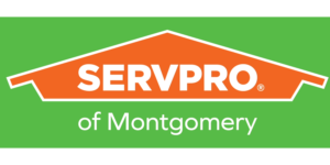 Servprocropped Lrg