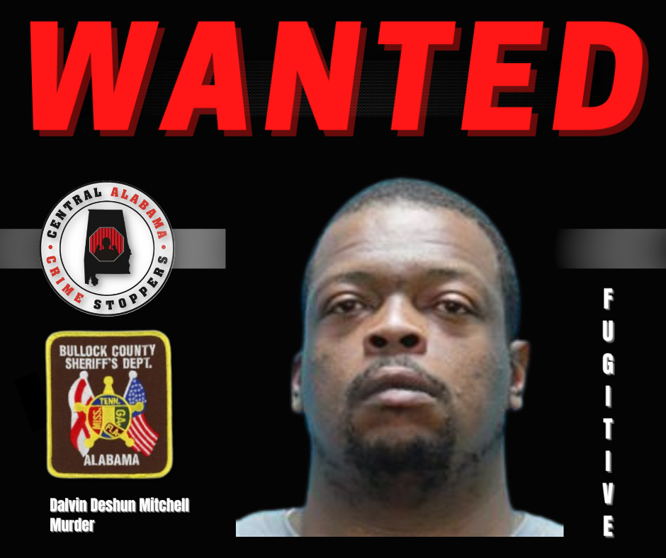 Dalvin D Mitchell 09182024