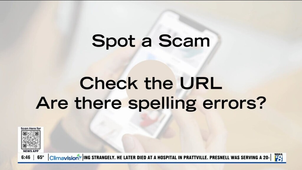 Wtt Social Media Shopping Scams 111924