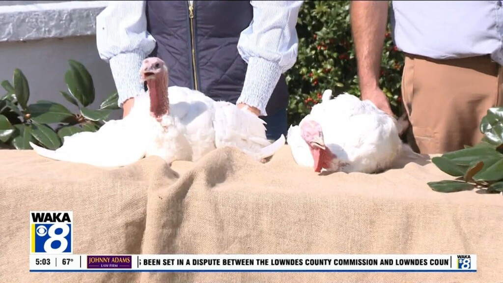 Turkey Pardoning