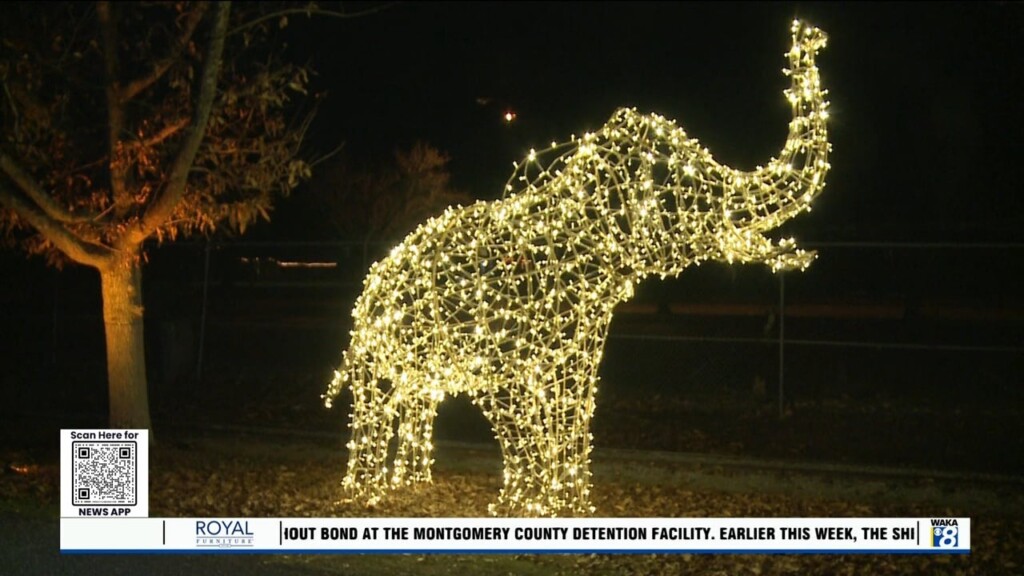 Families Take In The Christmas Lights Festival At The Montgomery Zoo