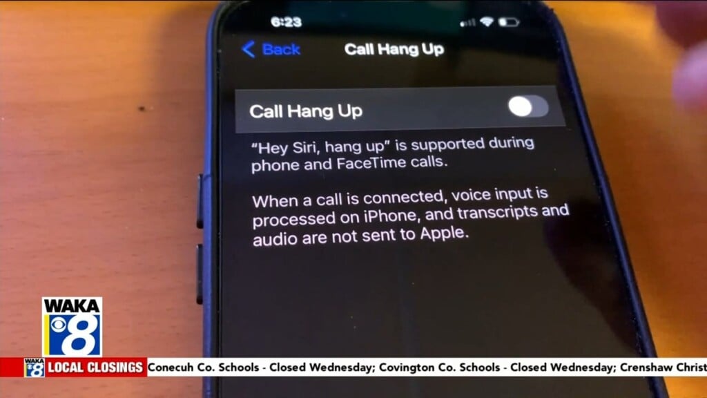 Wtt Siri Phone 012225
