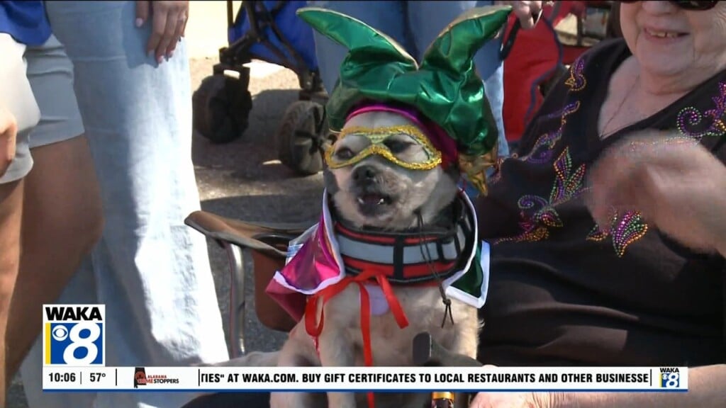 prattville al mardi gras parade 2025