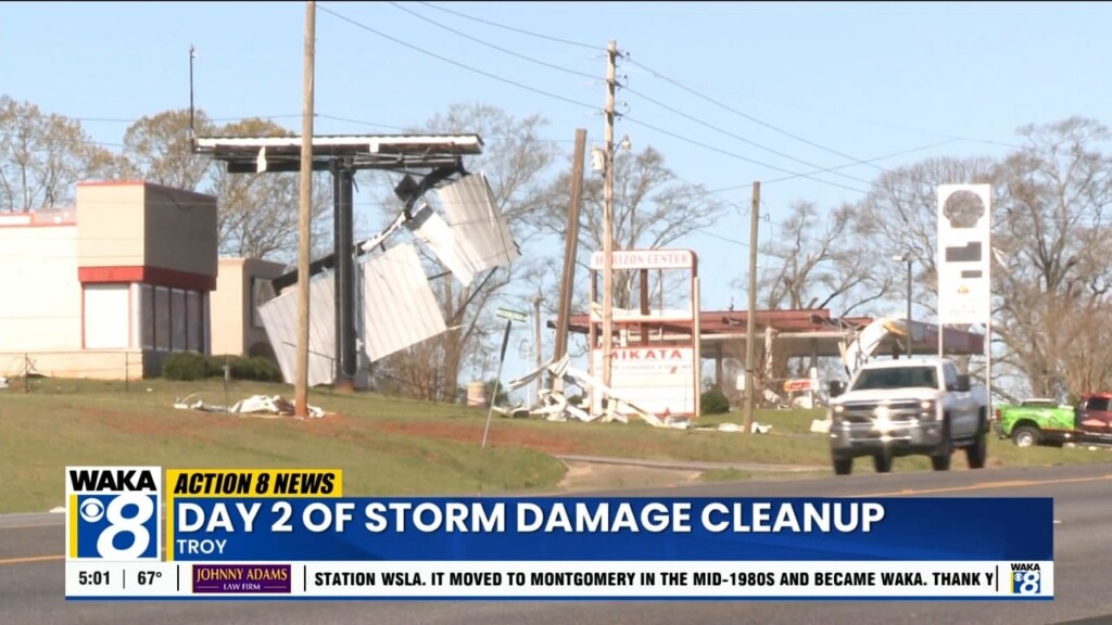 Troy Cleanup Elm Street