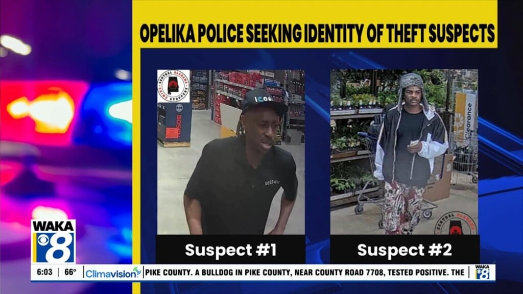 Opelika Theft 042525