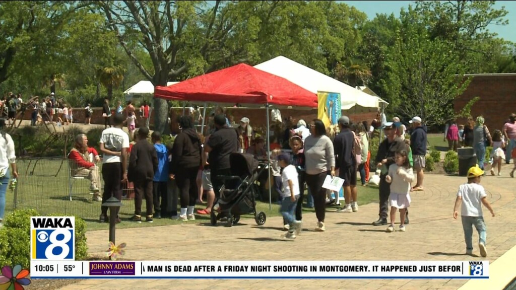 Flimp Festival
