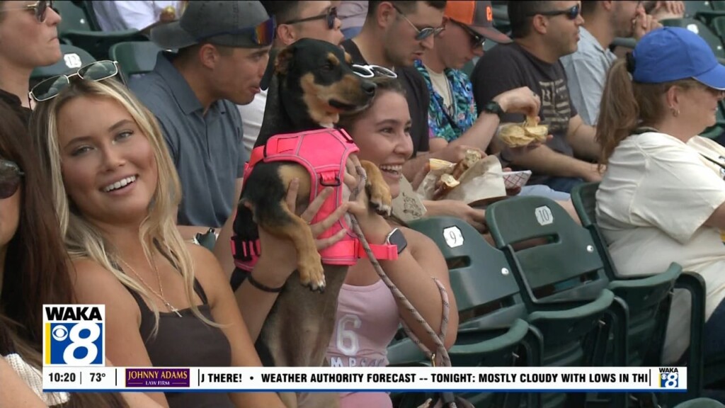 Montgomery Biscuits Rocket City Trash Pandas
