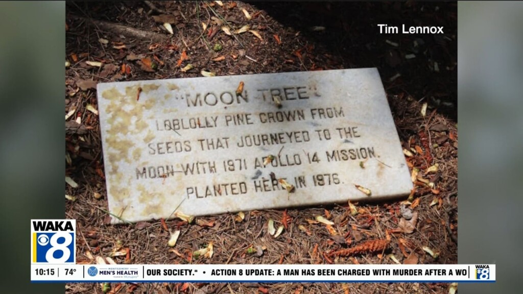 Saturday, April 19 Marked The 49th Anniversary Of The Planting Of Montgomery's Moon Tree At The Alabama State Capitol.