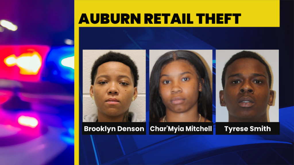 Auburn Retail Theft