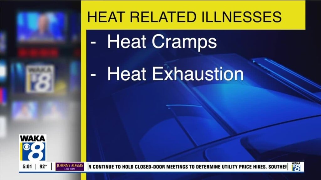 Stay Safe In The Heat
