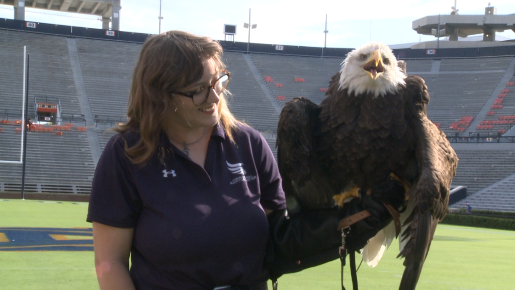 Auburn Tigers