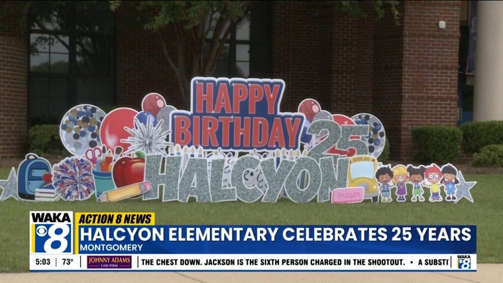 Halcyon Elementady 082825