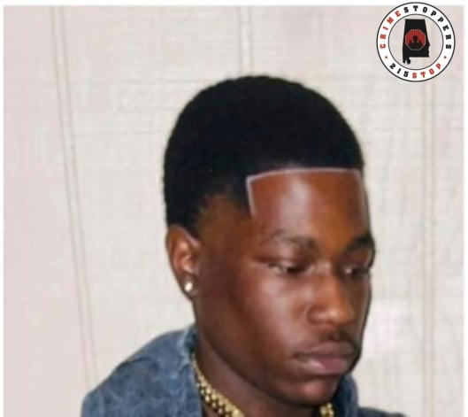 William Jordan Wingard2