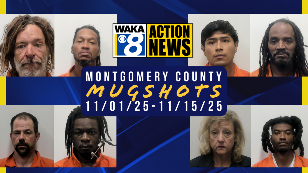 Wakamugs 2025 25 1101 15 169