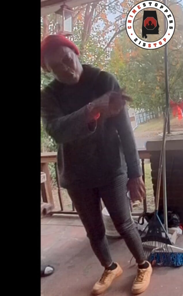 Suspect Cell Phone Robbery