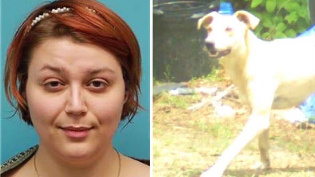 Waka Pchomicide1119 Vo 1