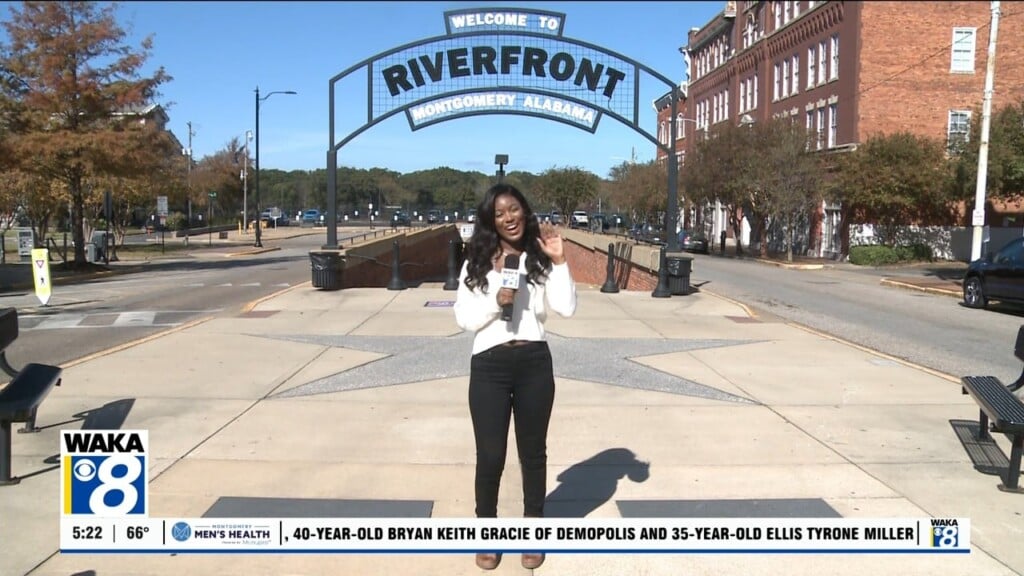 What's Happening 111325