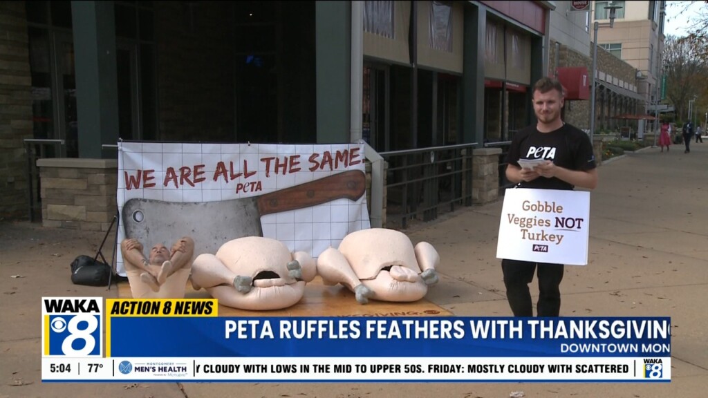 Mgm Peta Protest