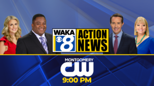 Waka Progg 8 Newsoncwyel