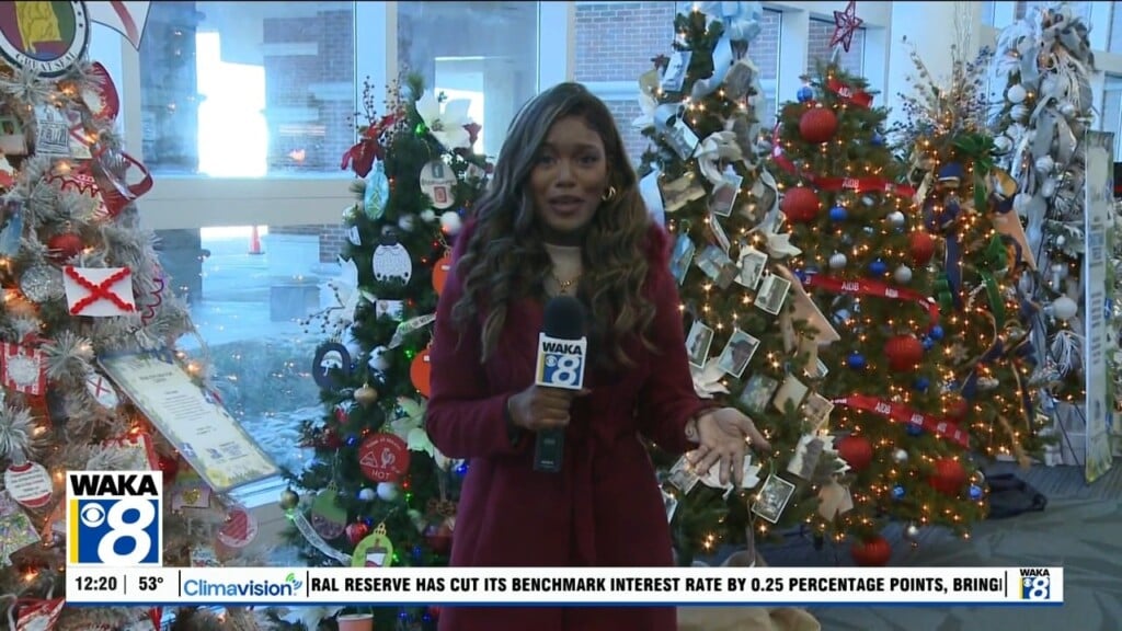 What's Happening 121125