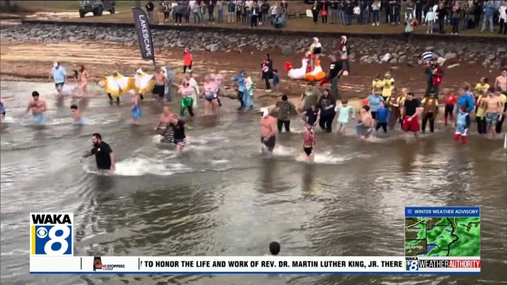 The Lake Martin Young Professionals Polar Plunge Draws Big Crowd In 2026.