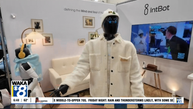 CES Day 4 - Robots