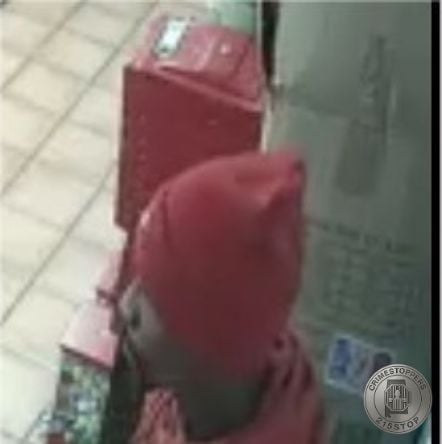 4000 Troy Hwy Suspect B