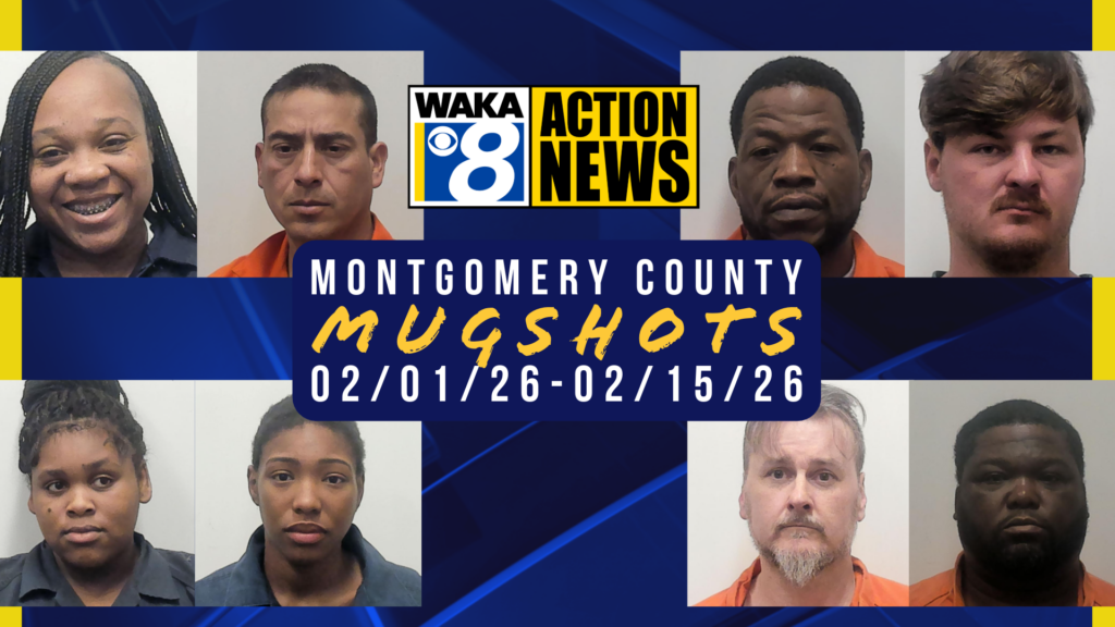 Wakamugs 2026 0201 15 169