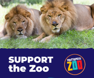 2714664 Montgomeryzoo Memeablekidsgraphics 3 021926