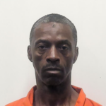 Trammerjr Leslie Jr Breaking Entering Vehicle