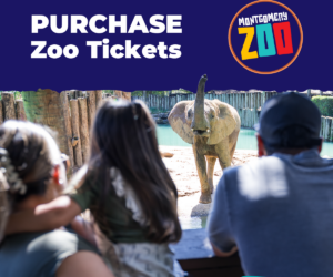 2714664 Montgomeryzoo Memeablekidsgraphics 2 021926