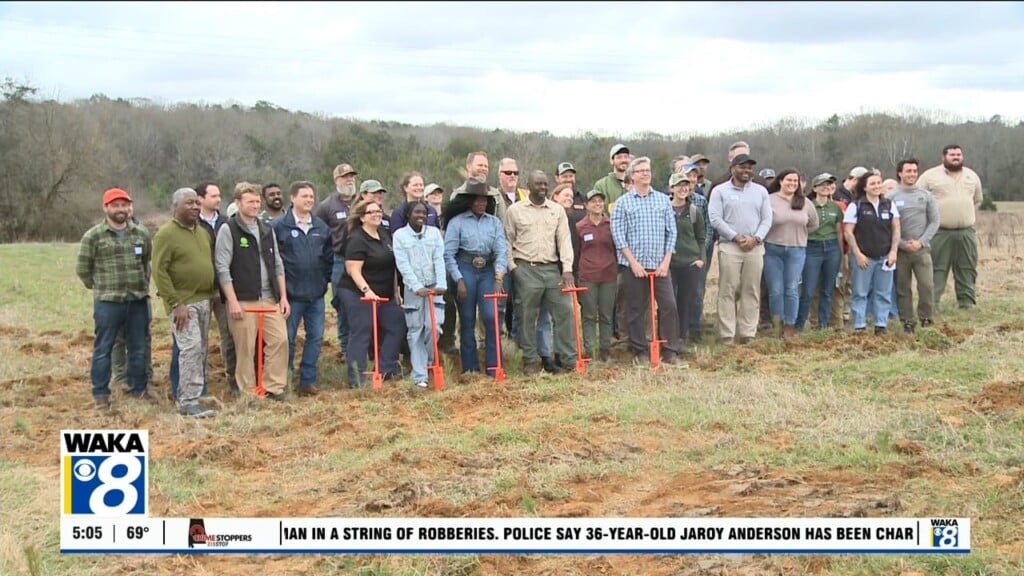 Millionth Tree Planted