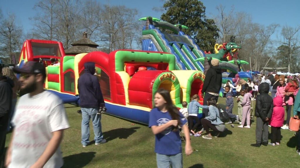 Hundreds Celebrate Mardi Gras In Millbrook