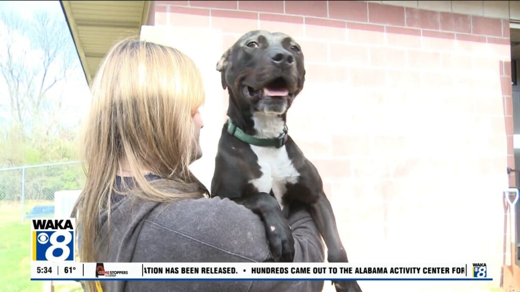 Pets Of The Week 030926