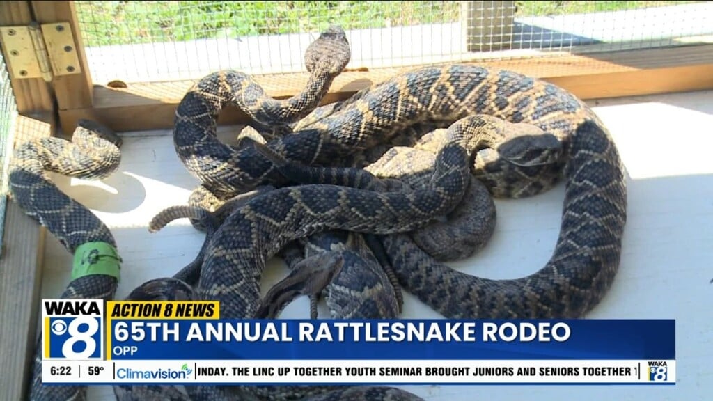 Rattlesnake Rodeo 03/30