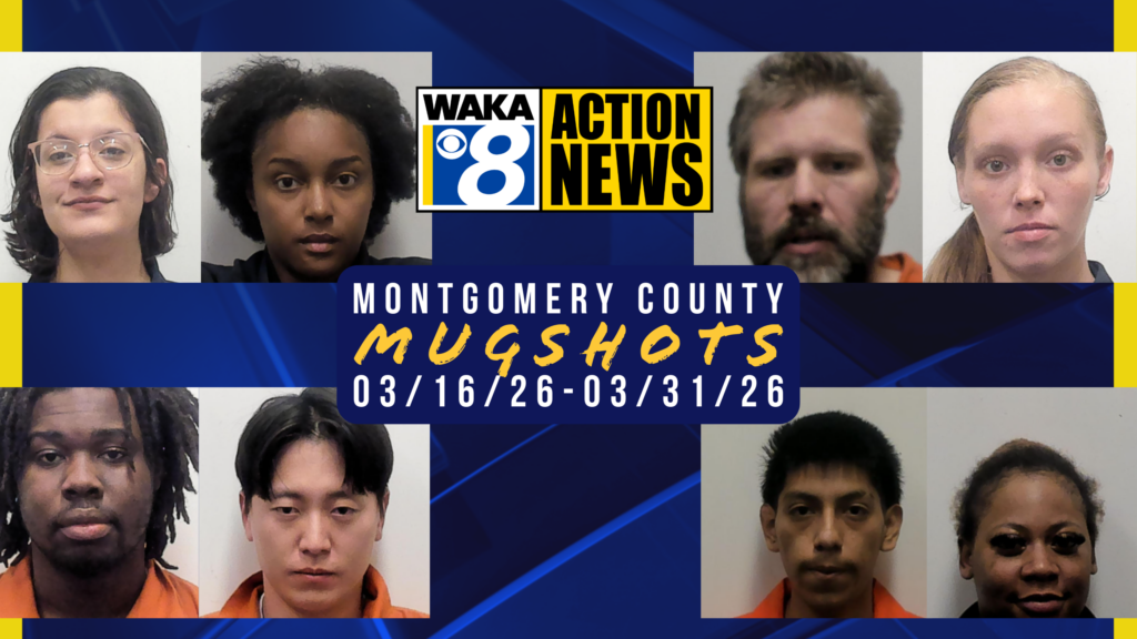 Wakamugs 2026 31 0316 31 169 2