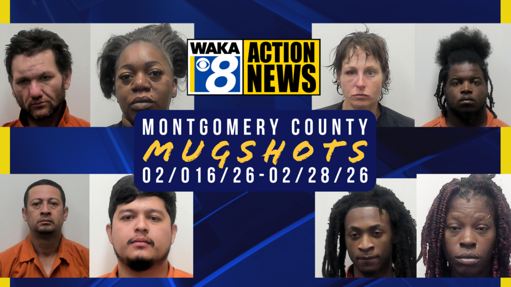 Wakamugs 2026 31 0201 15 169