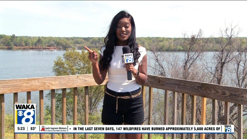 What's Happening 032626