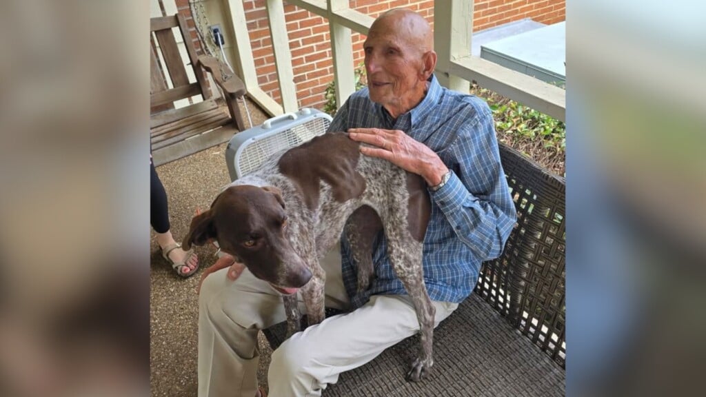 Waka Dcmissing0427 Sotvo