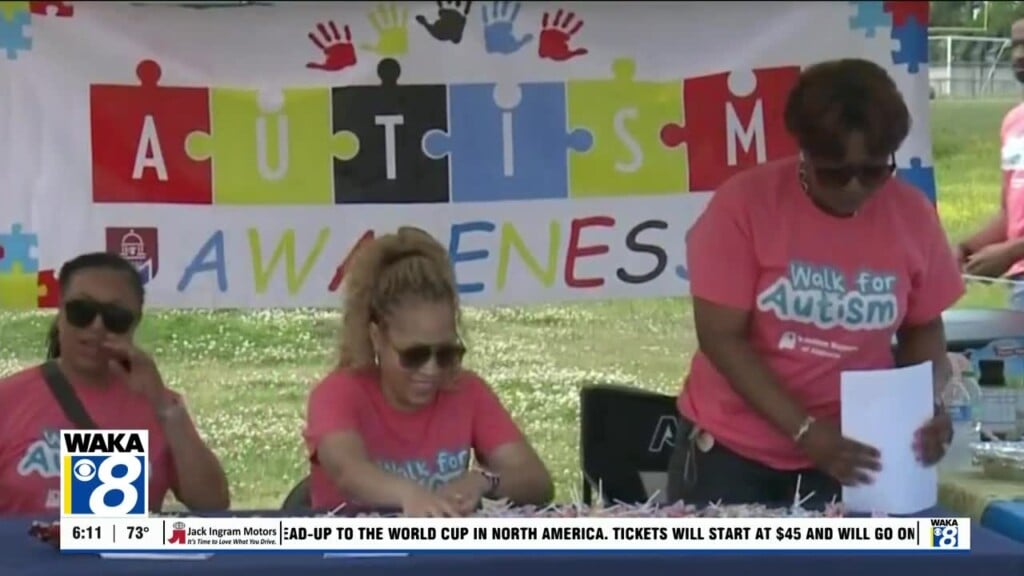 Greenville Autism Walk