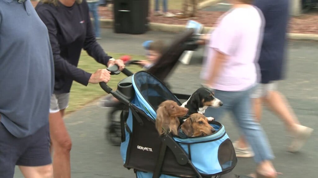 1st Annual "puppy Palooza" In Pike Road