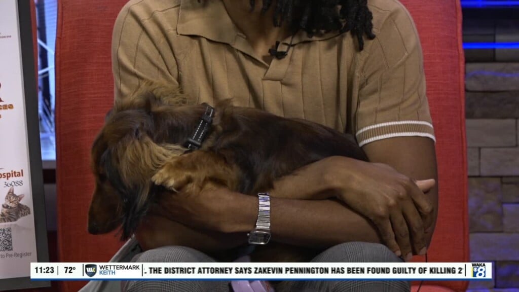 Tuskegee University Small Animal Clinic