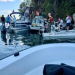 Alea Lake Martin